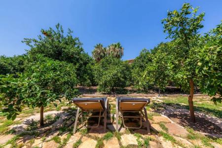 Finca Ca's Curial - Agroturismo - Adults Only - 36