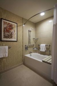 Hilton Anatole - 8