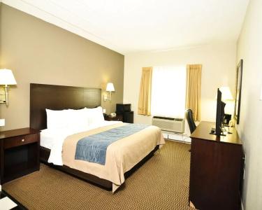 Comfort Inn - 49