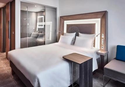 Novotel Toulouse Centre Wilson - 80