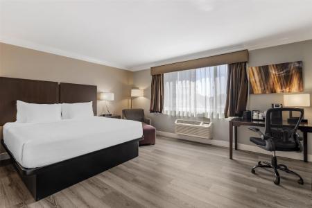 Best Western Plus La Mid-Town - 31