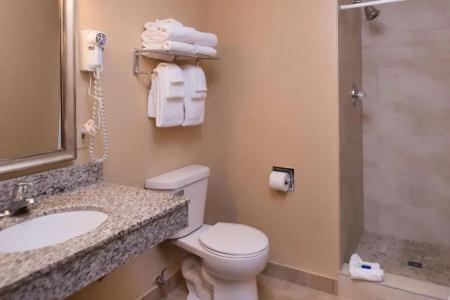 Best Western Ambassador Inn & Suites - 181