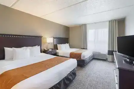 Comfort Suites Austin Airport - 40