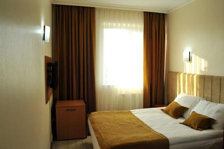 Lion City Ankara - 2