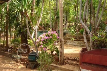 Sam's Jungle - 7