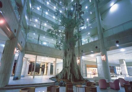 Yakushima Iwasaki - 14