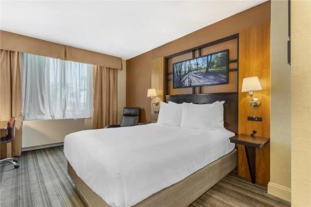 Best Western Gold Coast - 30