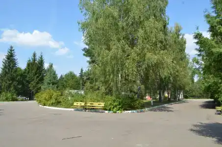 РГСУ - 11