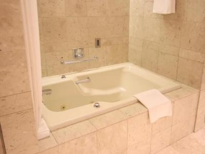 Premier -Tsubaki- Sapporo - 150