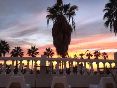 Endless Summer - 19
