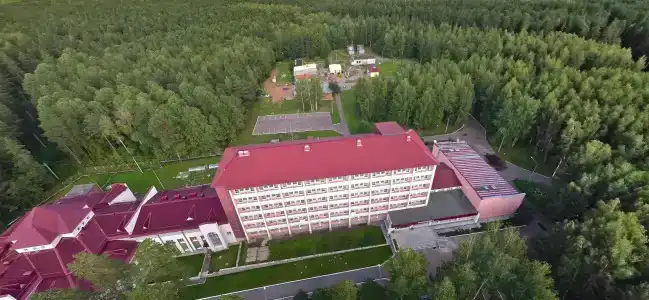 Сосновый бор - 19