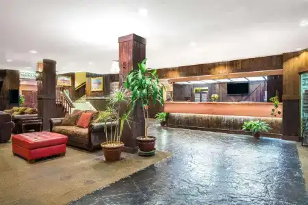 Ramada by Wyndham Denver Downtown - 16