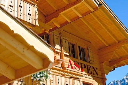 Aspen Alpine Lifestyle - 37