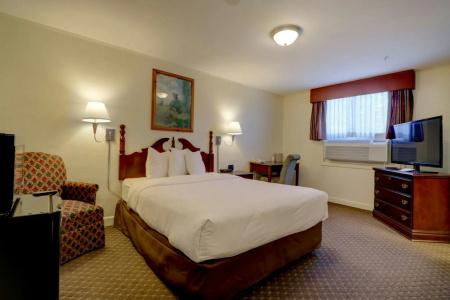 Senator Inn & Spa - 41
