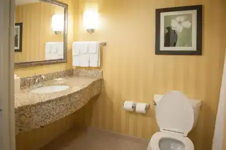 Hilton Garden Inn Airport/Medical Center - 58