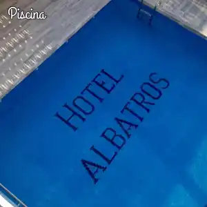 Albatros - 40