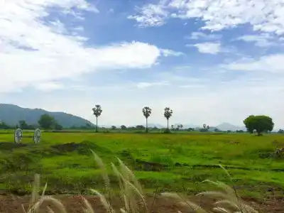 Wanlapa Farmstay - 13