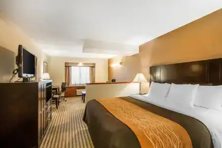 Comfort Inn Portland - 3