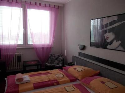 Milotel - 38