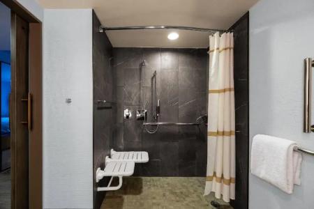 Chicago Marriott At Medical District/Uic - 44