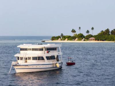 The Maverick Surf and Dive Boutique - 25