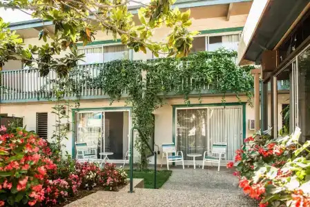 Best Western Plus - 195