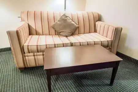Comfort Suites Orlando Airport - 48