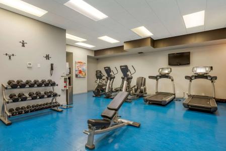 Best Western Plus Village Park Inn - 24