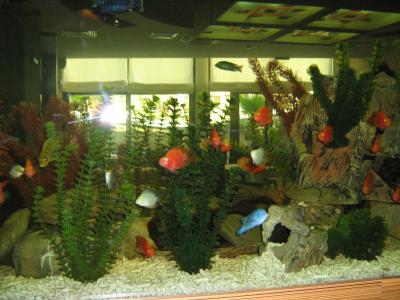Marieta Palace - 19
