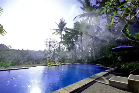 Capung Mas - 7
