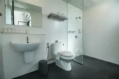 Isilver -Sha Extra Plus - 44