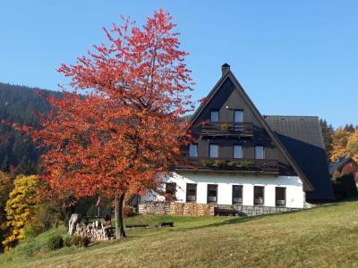 Pension Krakonoš - 8