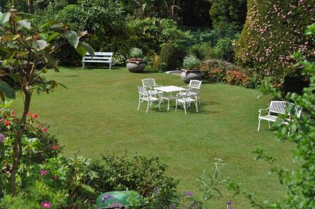 Royal Cocoon - Nuwara Eliya - 21