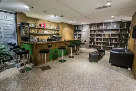 Olives City - 30