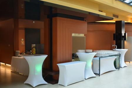 Four Points by Sheraton Kecskemet & Conference Center - 5
