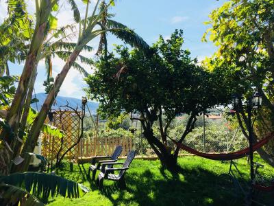 Altea Paradise 1917 - Adults Only - 24