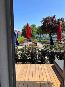 Schlossblick Chiemsee - 49