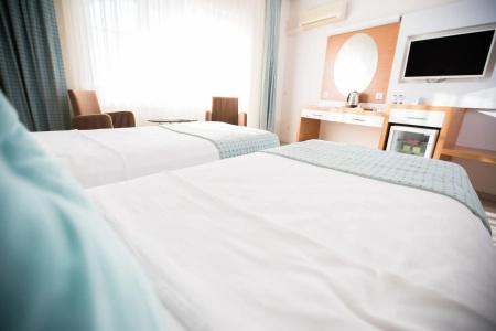 Afyon Orucoglu Thermal Resort - 7
