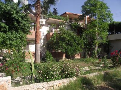 Golden Pension - 13
