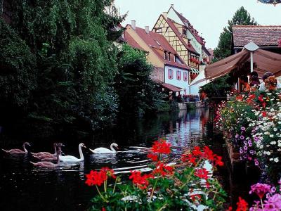 ibis Colmar Centre - 14