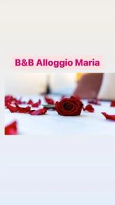 b&b Alloggio Maria - 128