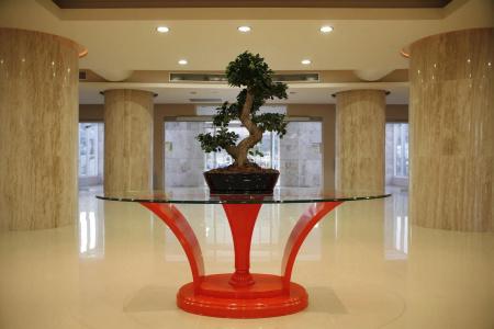Sun Palace - 1