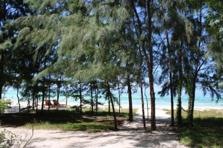 Kivuli Beach - 35