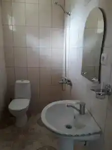 Magnolia Agmashenebeli - 23