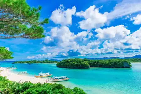 Comfort Ishigaki Island - 18