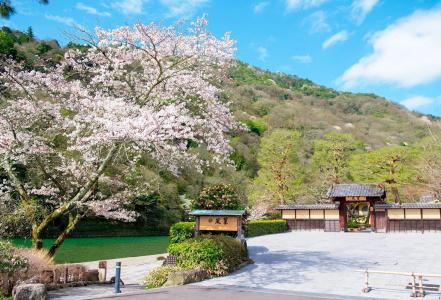 Suiran, a Luxury Collection, Kyoto - 26