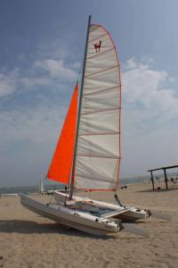 Maree - 16