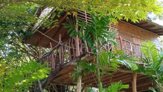 Sigiriya Rock Gate Resort - 84