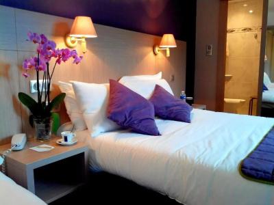 Quality Hôtel Christina Lourdes - 54