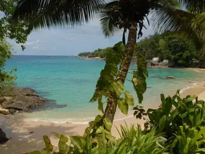 Sunset Beach - 10